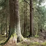 Zur Alten Tischlerei