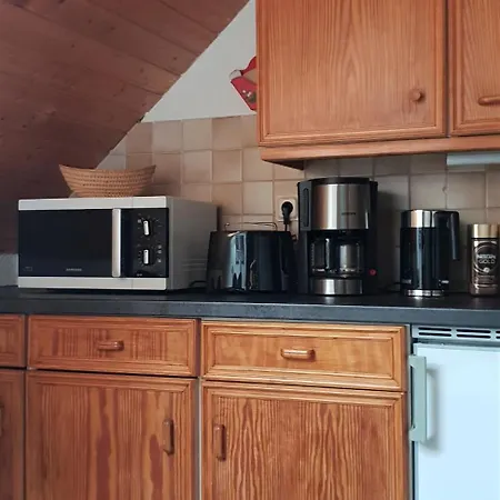 Apartamento Zur Alten Tischlerei Oberhof (Thuringia)