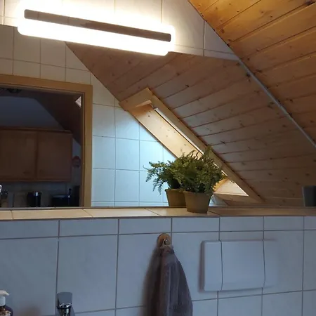 Zur Alten Tischlerei Apartamento Oberhof (Thuringia)
