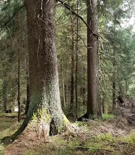 Zur Alten Tischlerei