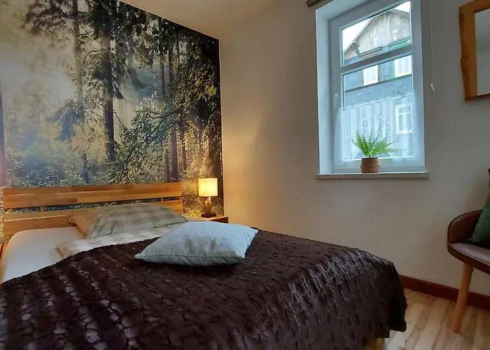 Zur Alten Tischlerei Appartamento Oberhof (Thuringia)
